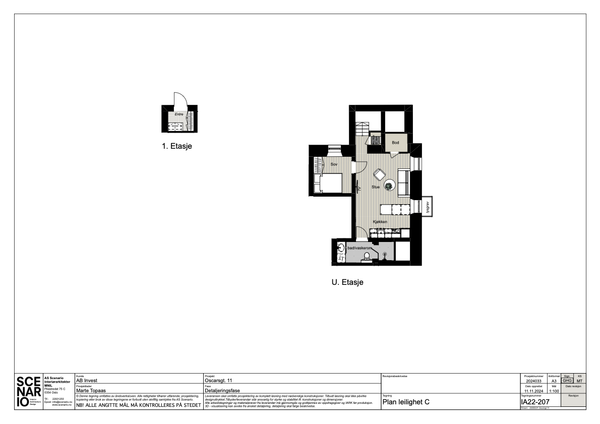 IA22 207 Plan leilighet C